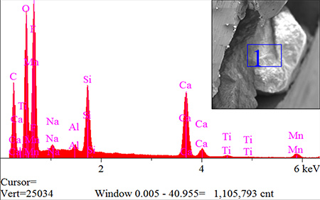 EDS spectrum with SEM image inset