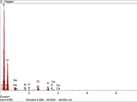 Scanning Elecctron Microscopy - elemental mapping