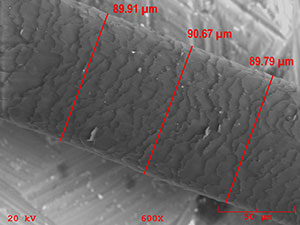 Hair after treatment