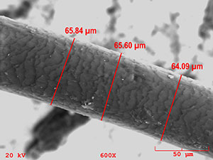 hair before treatment