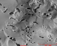 Ceramic Toilet tank.