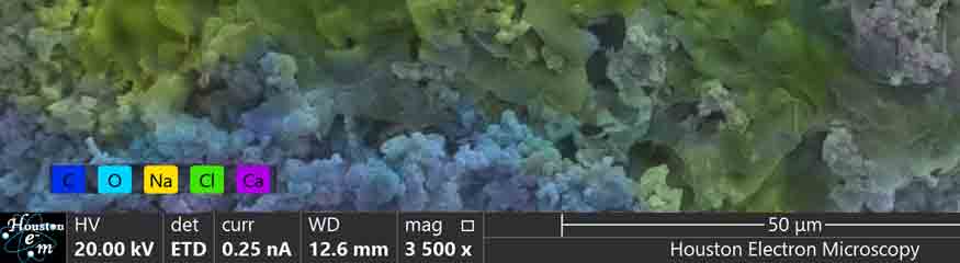 SEM/EDS analysis of geological core.